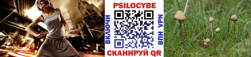Псилоцибиновые грибы Magic Shrooms купить наркотик Белинский